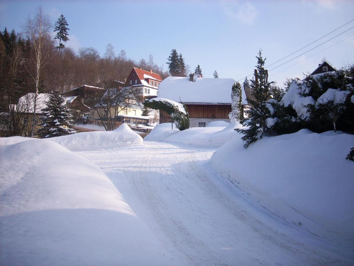 Ferienwohnung Altenbrak Haus Wilde Thale Exterior foto